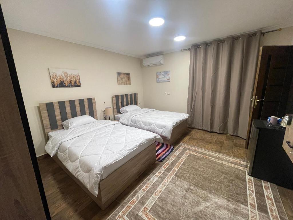 Malek Pyramids Guest House - Delüks İki Yataklı Oda