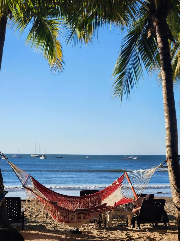 a hammock on a beach with palm trees and the ocean at Hotel La Palapa in Tamarindo