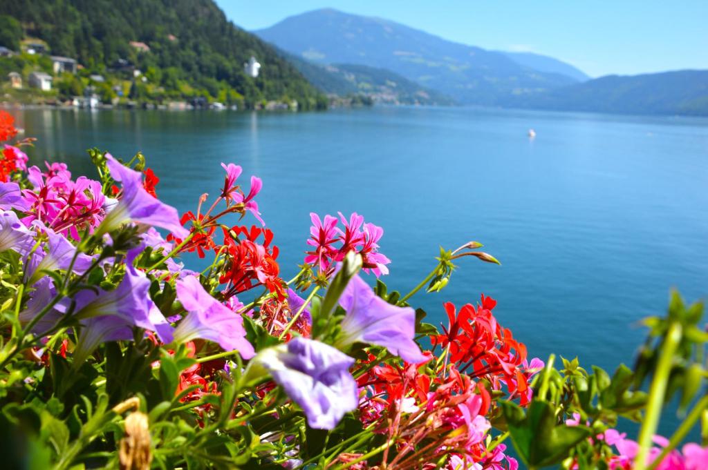 Paesaggio naturale nelle vicinanze dell'hotel
