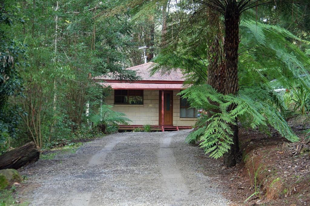 Photo from The Fernglen Forest Retreat in Mount Dandenong, Victoria, Australia
