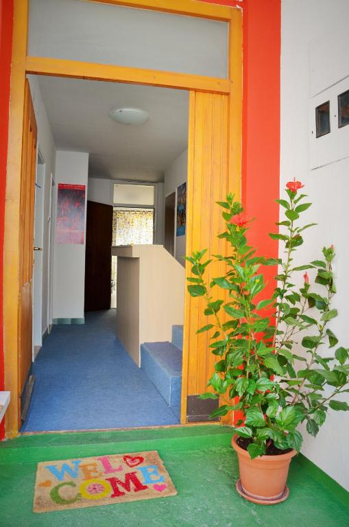Fotografie z fotogalerie ubytování Mostar Downtown Hostel v destinaci Mostar