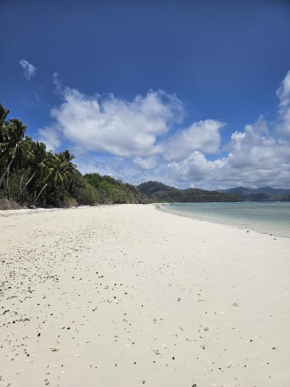 BarangbarangSELAYAR TURTLE BAY的一片种满树木和海洋的白色沙滩