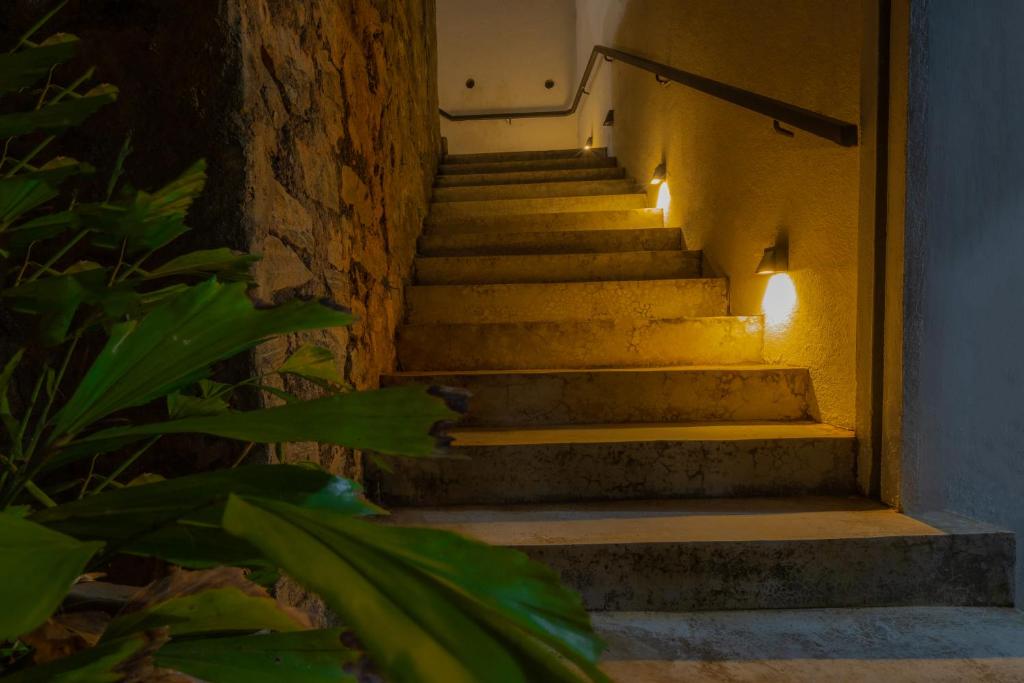 Fotografie z fotogalerie ubytování Shiro in Kandy v destinaci Kandy