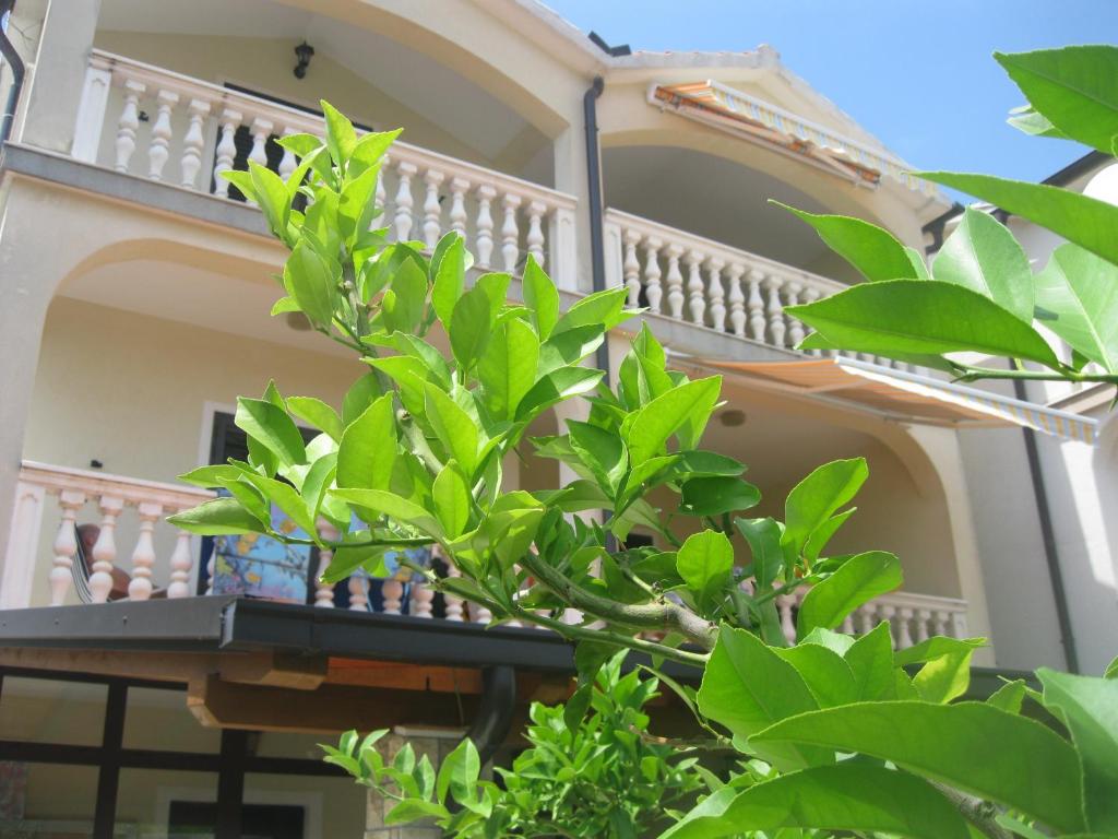Balkón alebo terasa v ubytovaní Apartments Villa Macola