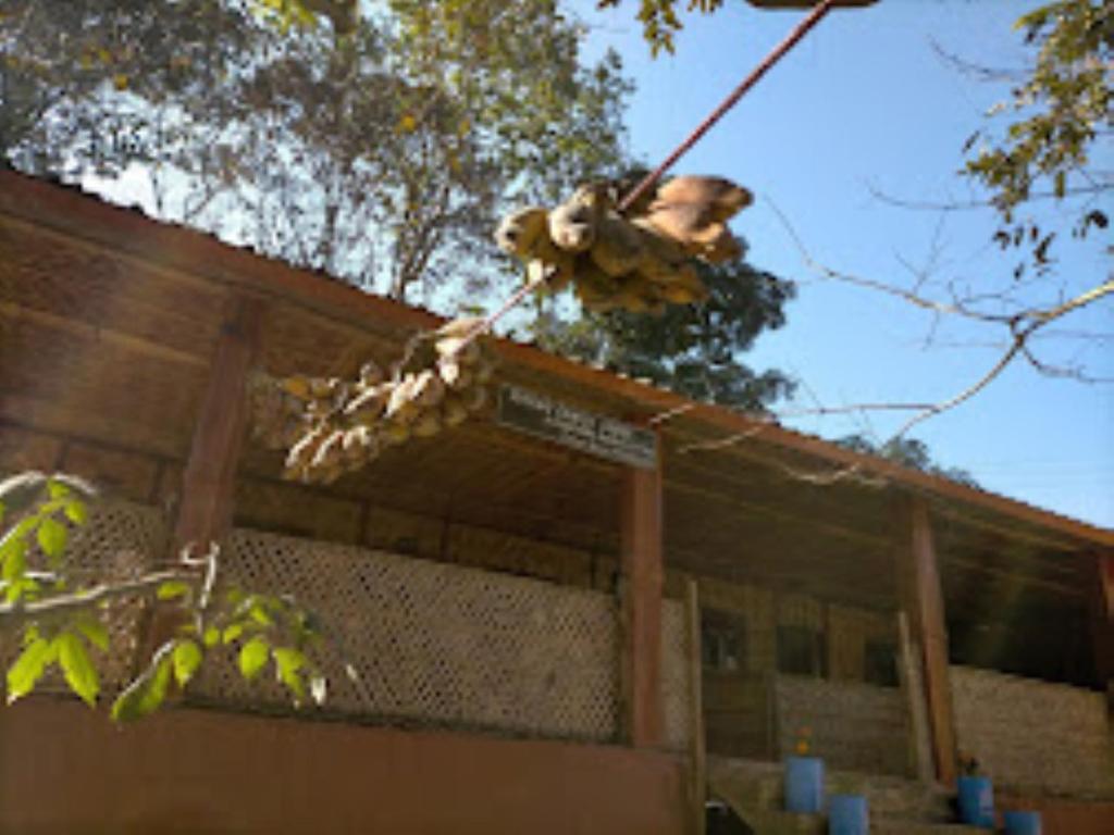 un osito de peluche en la parte superior de un edificio en Risong Family Guest Gouse Majuli, en Majuli