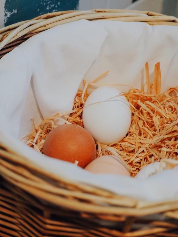 Levy's Rooms & Breakfast - Resim 42