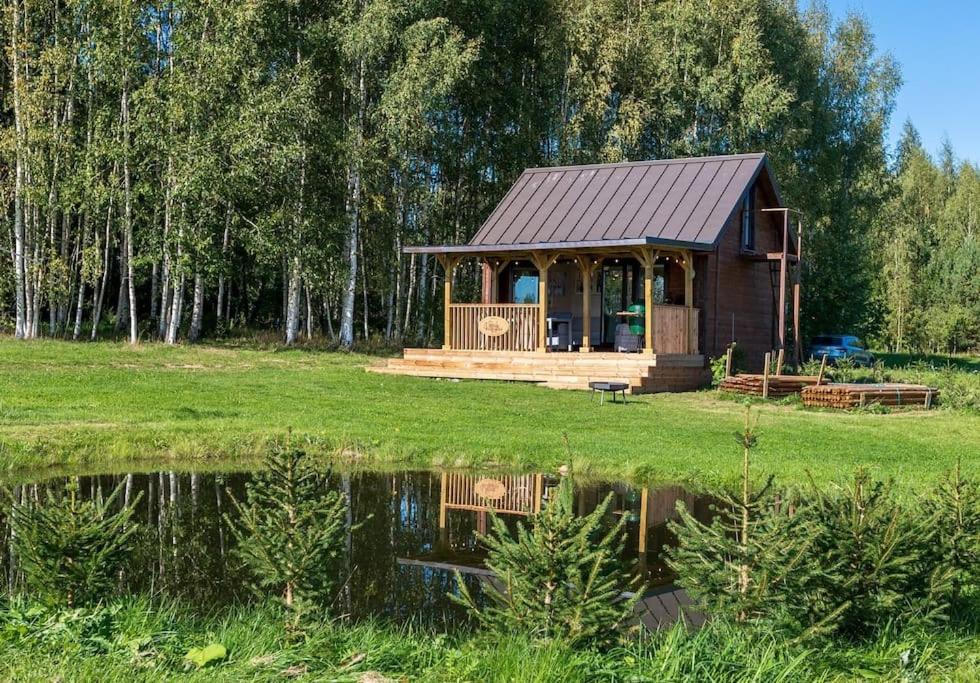 una cabaña en medio de un campo junto a un estanque en Veinimaja, 