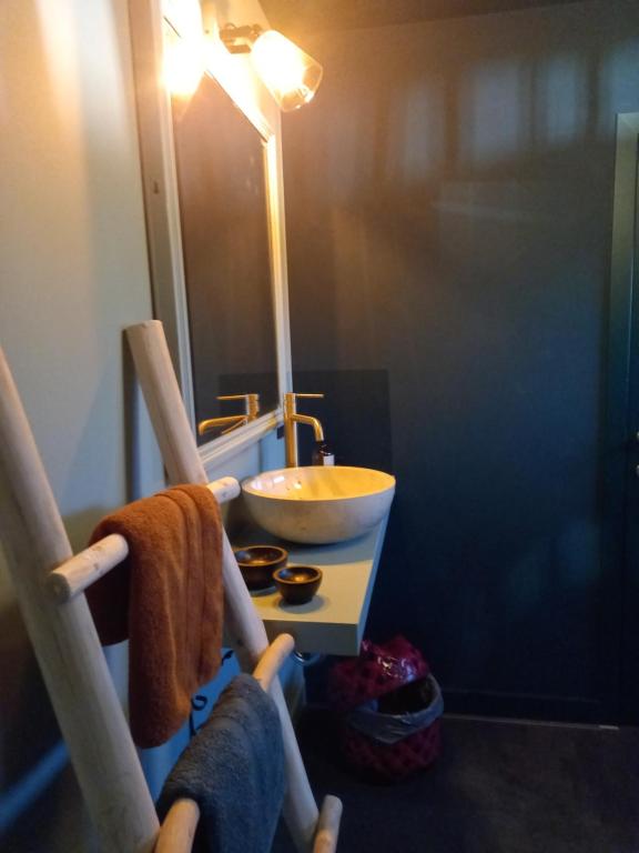 baño con lavabo y un bol sobre una mesa en Dilectus (Via Caput), en Lokeren