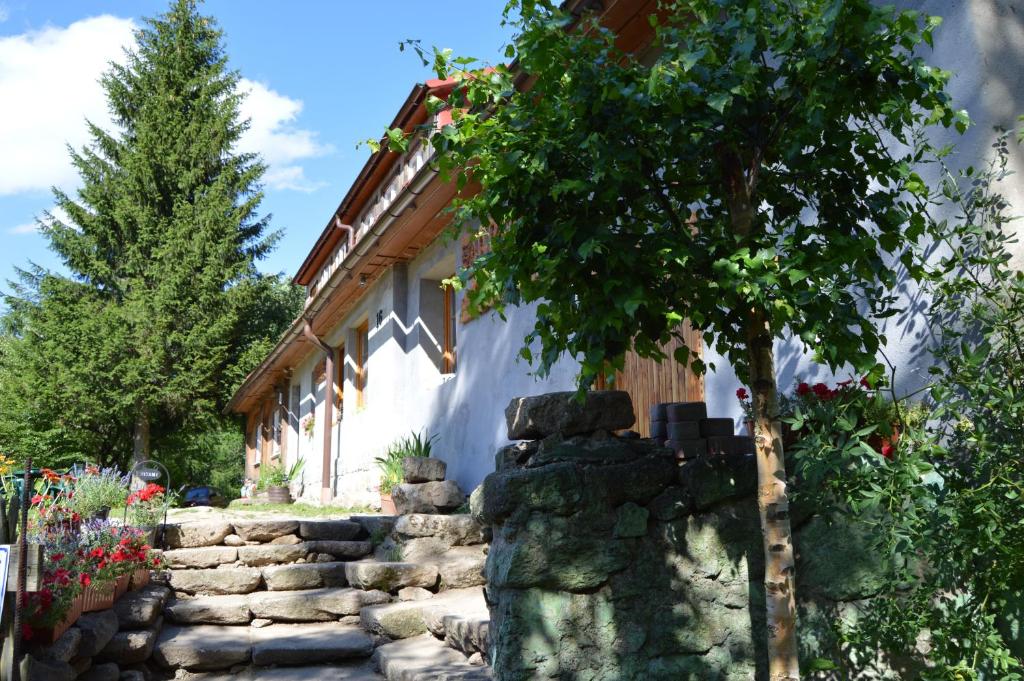 シュクラルスカ・ポレンバにあるPokoje Gościnne Arnika Górskaの木の家