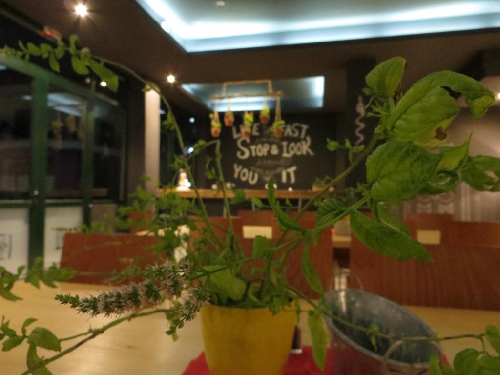 Fotografie z fotogalerie ubytování Leonidaion Guesthouse v destinaci Olympie