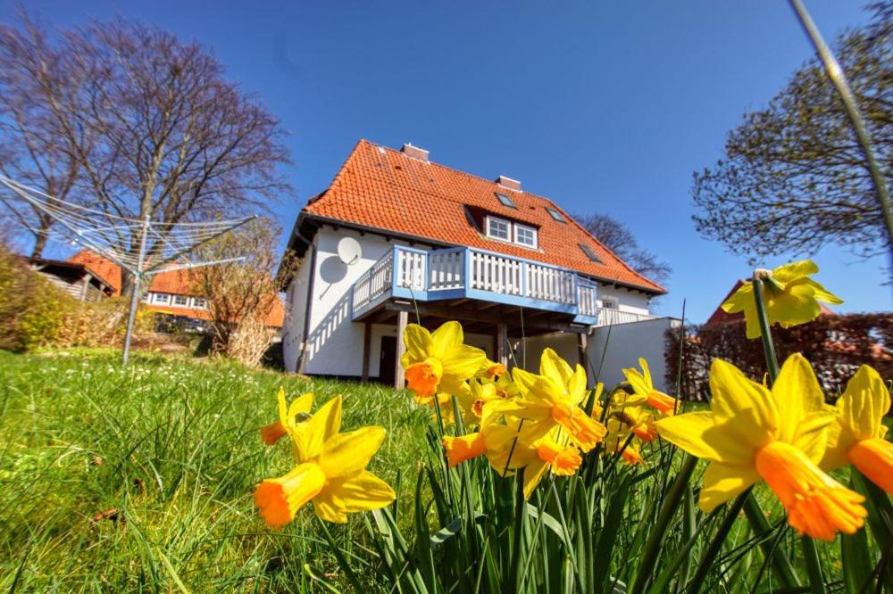 ein Haus mit gelben Blumen im Gras in der Unterkunft Ferienhaus Vogelberg, 8VGB06 in Heiligenhafen