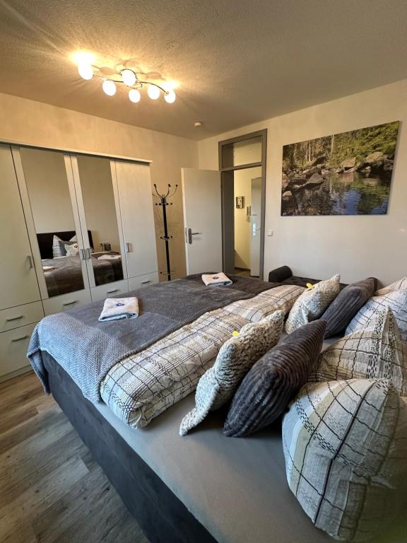 um quarto com duas camas com almofadas em Harzer Traum - renoviert, inklusive Wäsche und WLAN em Braunlage