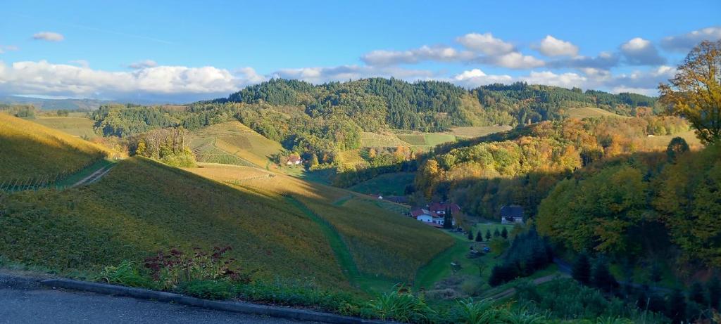 Příroda nedaleko apartmánu