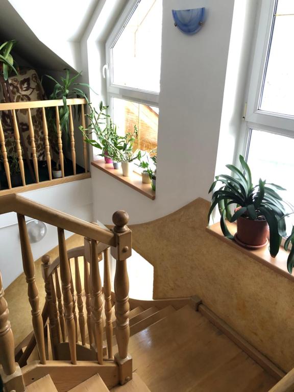 Fotografie z fotogalerie ubytování Penzion NATTY - s wellness přímo u sjezdovky v Černém Dole