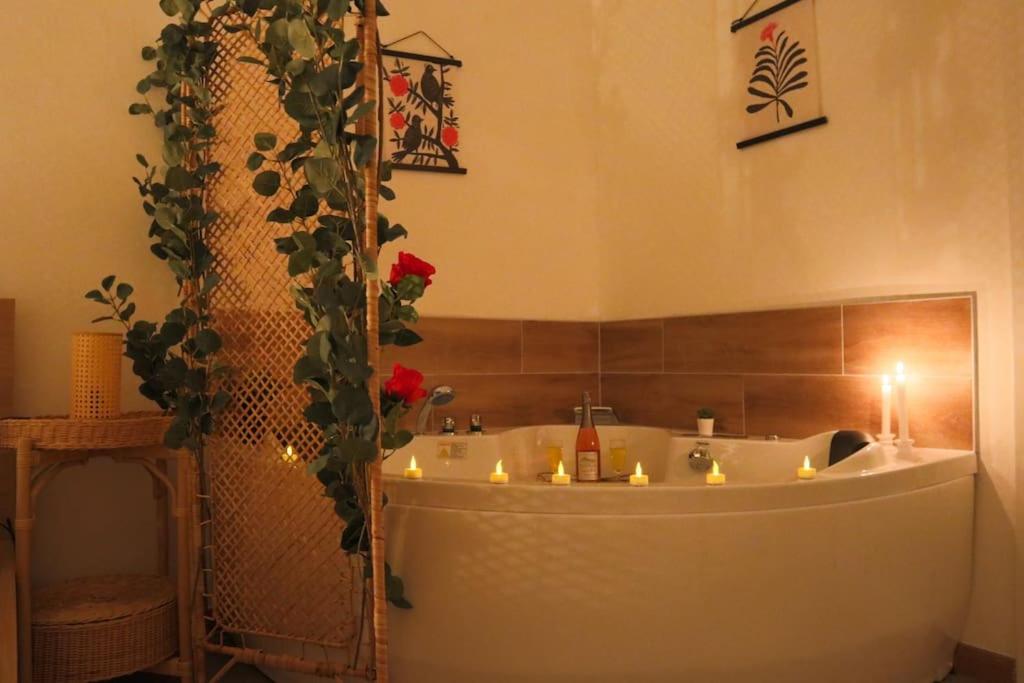 Le Cocon Fleuri, proche centre – photo 18