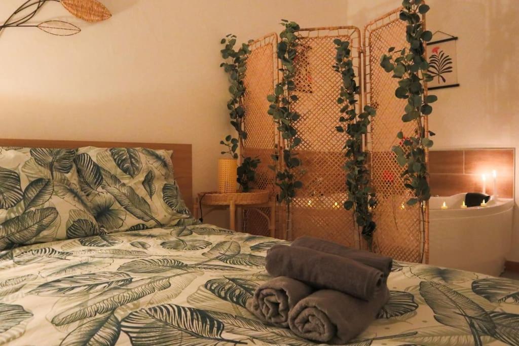Le Cocon Fleuri, proche centre – photo 27
