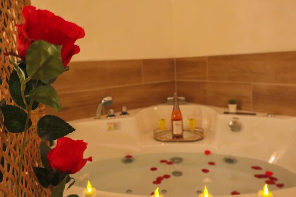 Le Cocon Fleuri, proche centre – photo 30