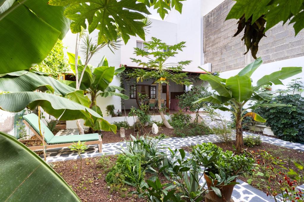 un jardín frente a un edificio con plantas en Garachico Center Secret Garden en Garachico