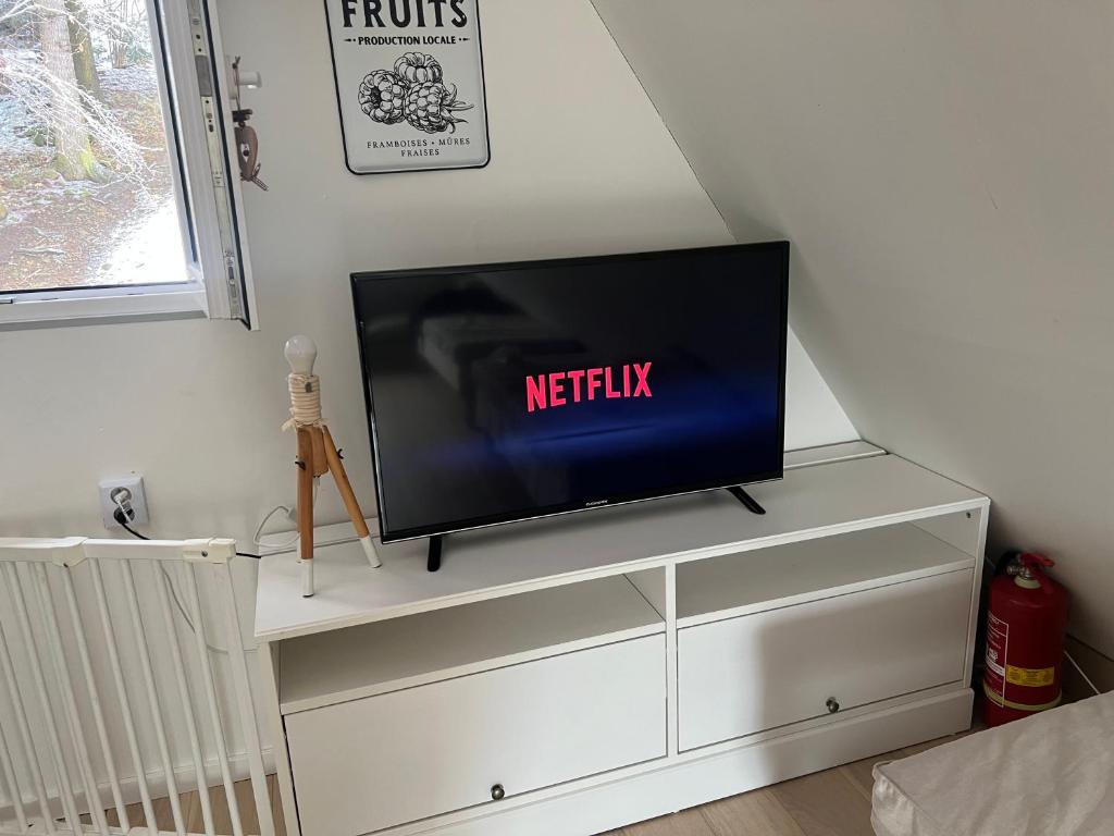 TV a/nebo společenská místnost v ubytování Chatka pod Lysou