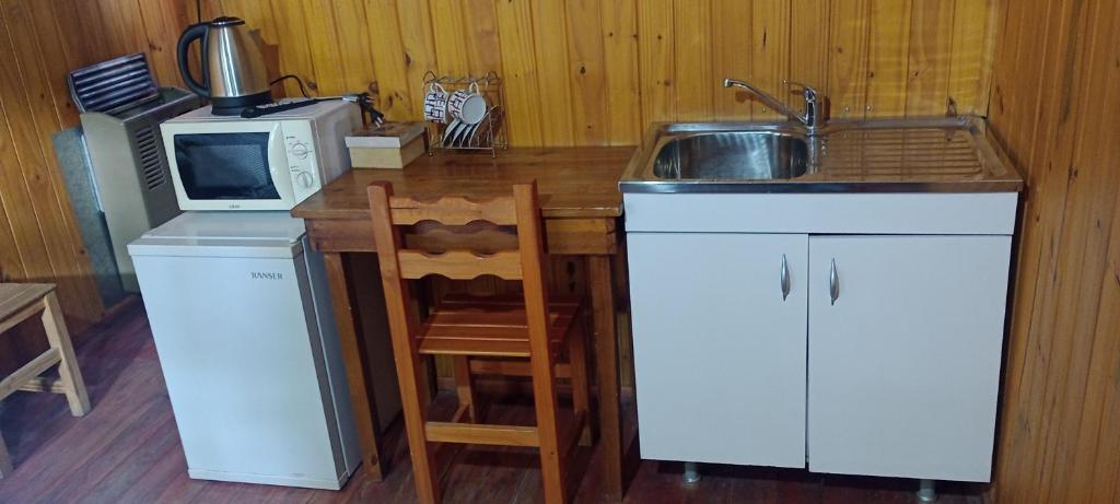 cocina con fregadero y microondas en Teushen 5 en Perito Moreno