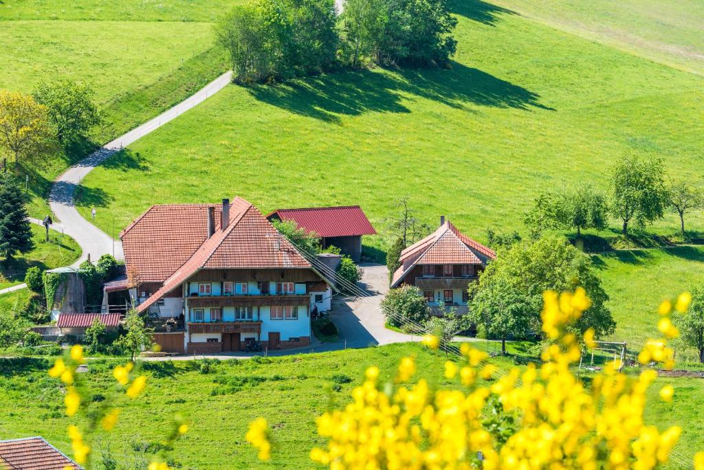 an aerial view of a house in a field at Prinzbachhof in Mühlenbach