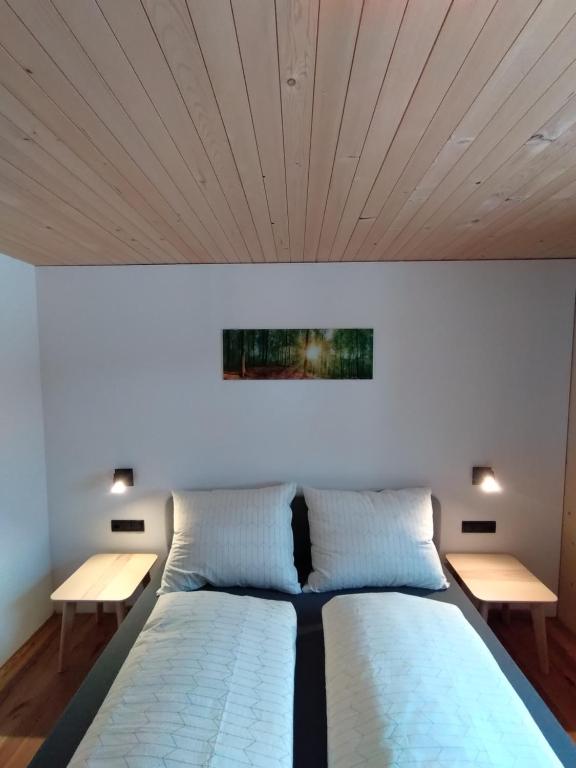 1 dormitorio con 1 cama grande y 2 mesas en Fuxrevier, en Schoppernau