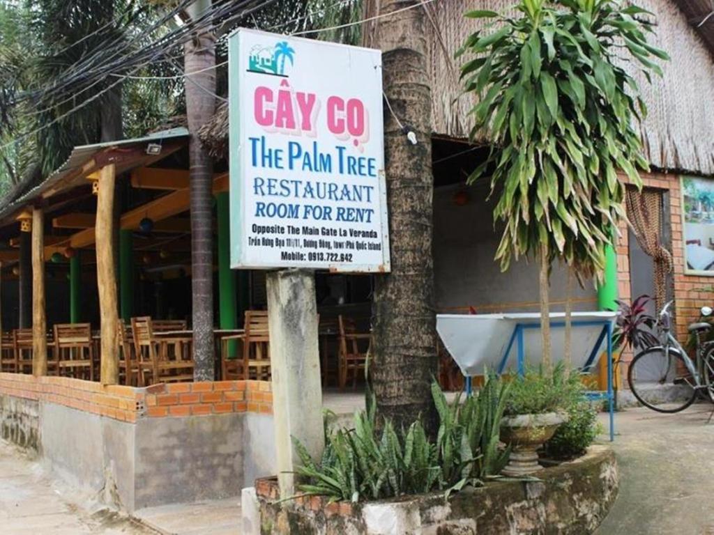 Jízda na kole v ubytování The Palm Tree Guesthouse nebo okolí