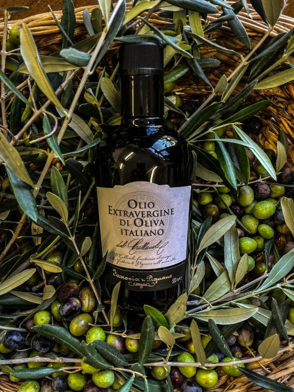 Fotografie z fotogalerie ubytování Borgo Pignano Tuscany v destinaci Pignano