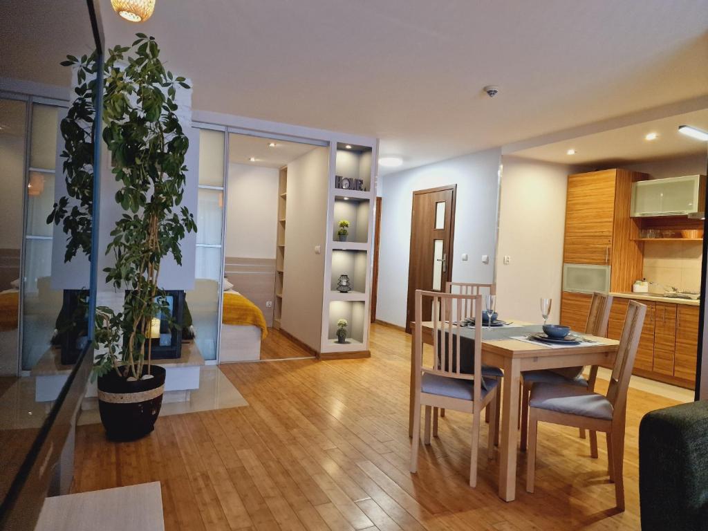 Kuchyňa alebo kuchynka v ubytovaní ZAKOapartamenty BUTOROWY RESIDENCE