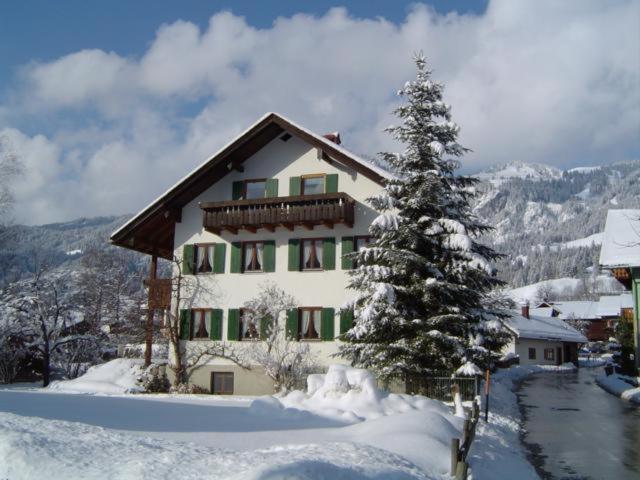 a house with a christmas tree in the snow at Haus Kaufmann in Bad Hindelang