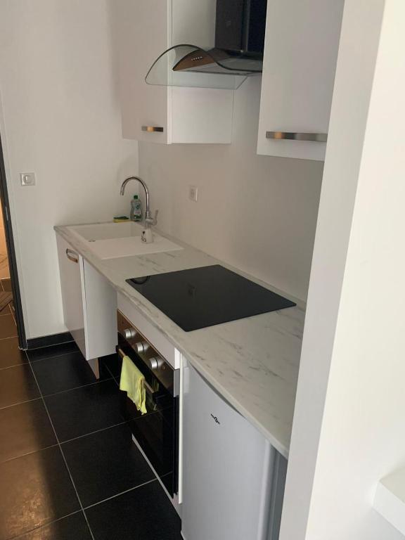 une cuisine blanche avec un évier et un comptoir dans l'établissement 3 jolies pavillons type studio, à Nancy