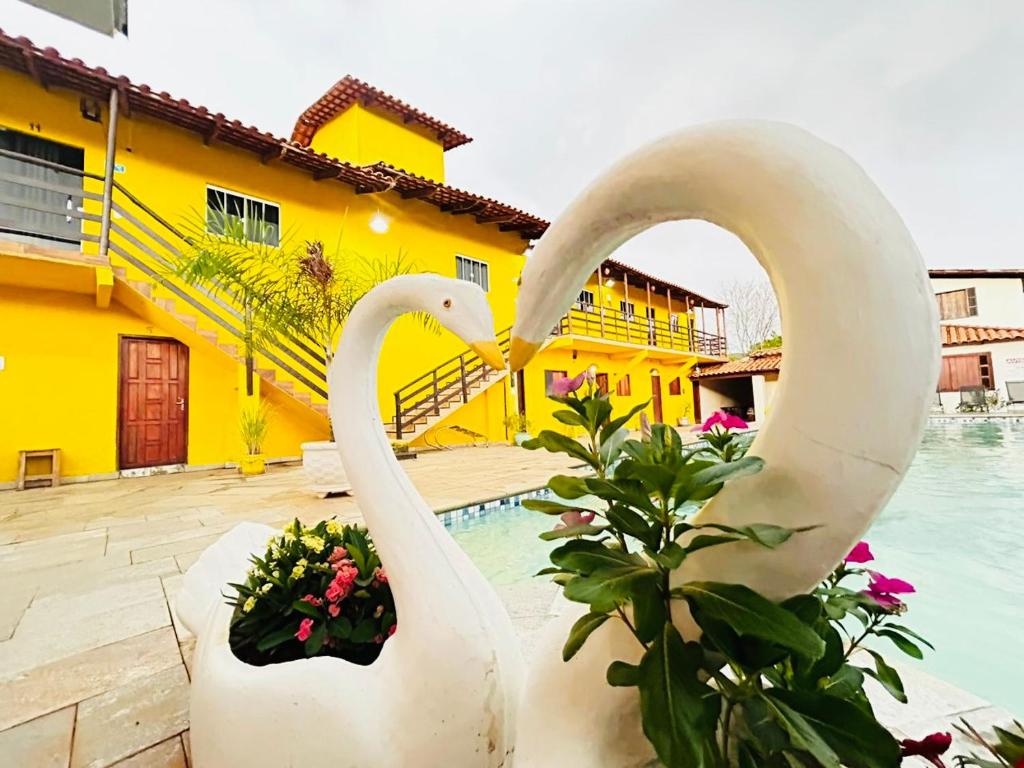 two white swans making a heart shape by a pool at Pousada Sunflower in Pirenópolis