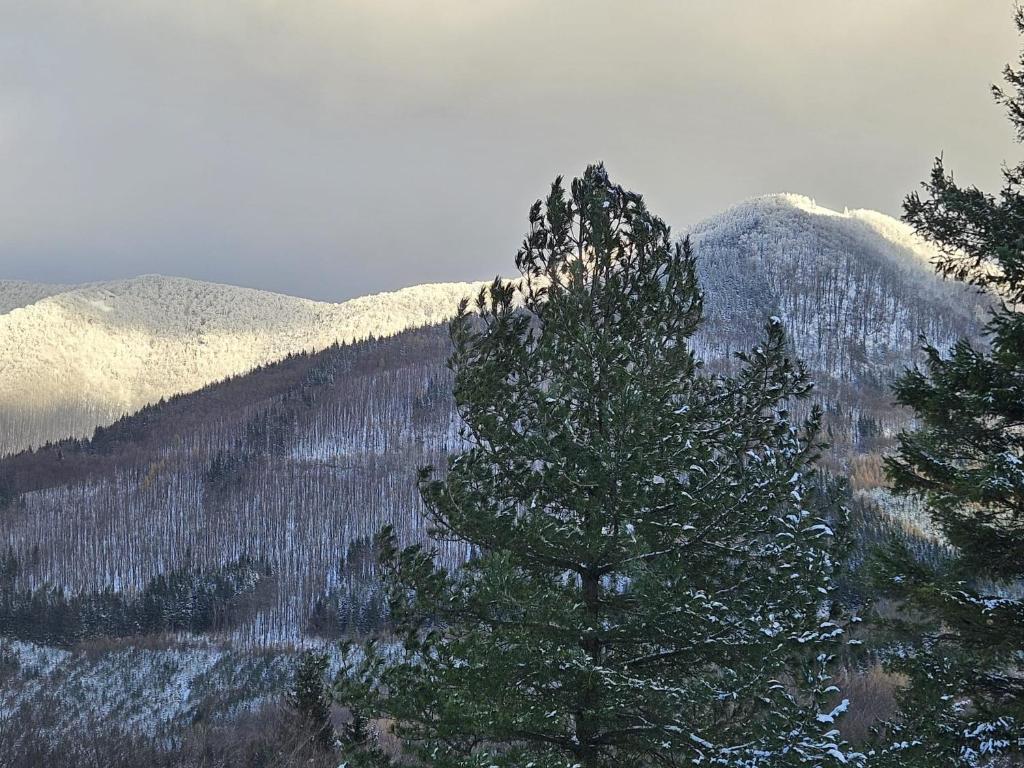 Een algemene foto van de bergen of uitzicht op de bergen vanuit het appartement