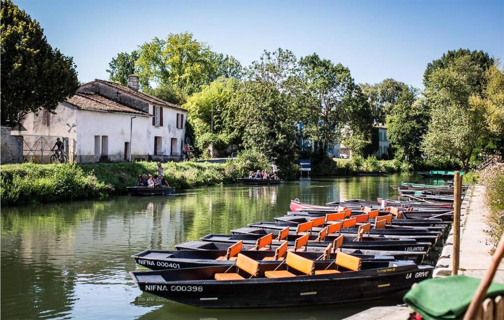 eine Reihe von Booten mit orangefarbenen Sitzen auf einem Fluss in der Unterkunft Nice Home In Coulon With Wi-fi in Coulon