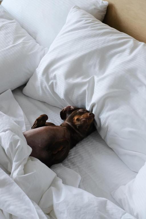 Griffintown Hôtel - Resim 45