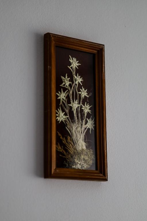 Fotografie z fotogalerie ubytování Vila Edelweiss v destinaci Predeal