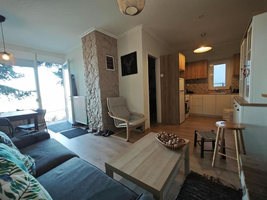 ein Wohnzimmer mit einem Sofa und einem Tisch in der Unterkunft Greponis House in Ano Trikala
