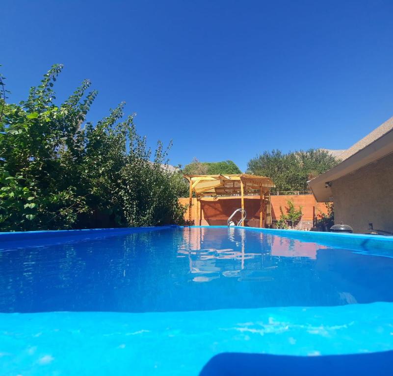 a swimming pool with blue water in a yard at Refugio Renacer in Pisco Elqui