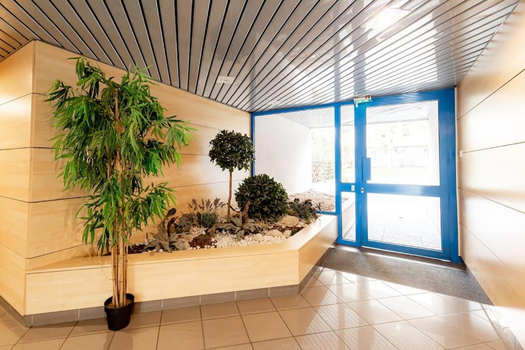 a room with a potted plant next to a door at Grand &amp; Lumineux T2 au Coeur de Monplaisir • Métro à 2’ • Parking Privé in Lyon