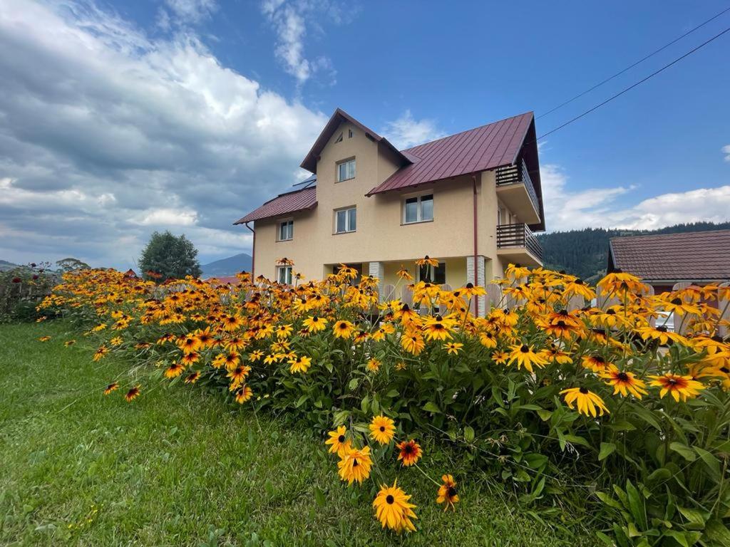 un campo de flores frente a una casa en Pensiunea Genţiana, en Vatra Dornei