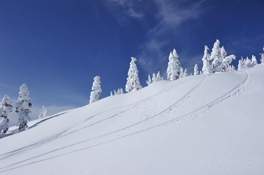Shiga Kogen Olympic Hotel v zimě