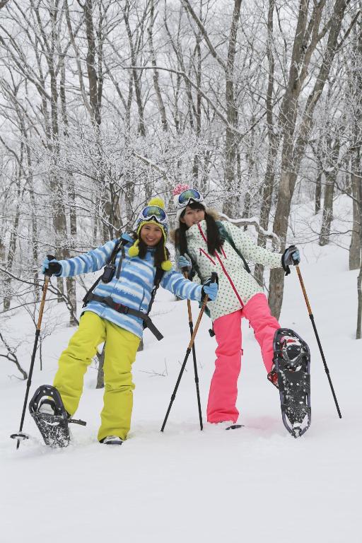 Hosté ubytování Shiga Kogen Olympic Hotel