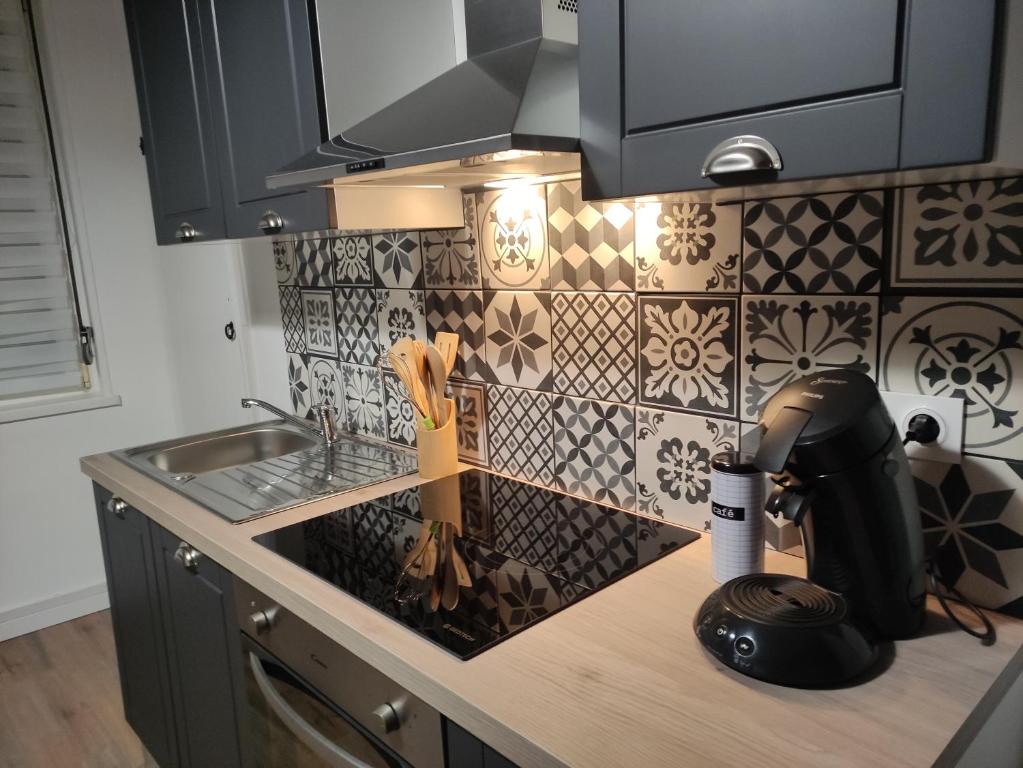 a kitchen with a counter with a sink and a mixer at Bienvenue chez Coco in Dunkerque