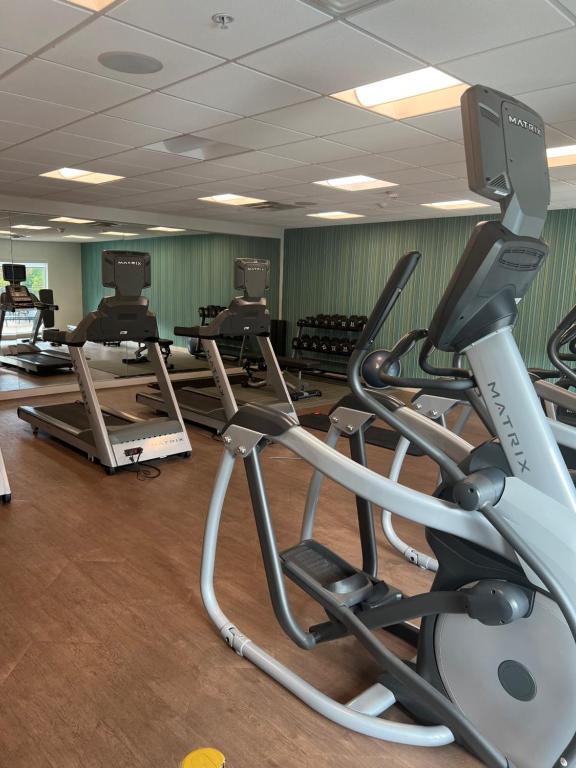 Fitness centrum a/nebo fitness zařízení v ubytování Holiday Inn Express & Suites Mobile - University Area by IHG