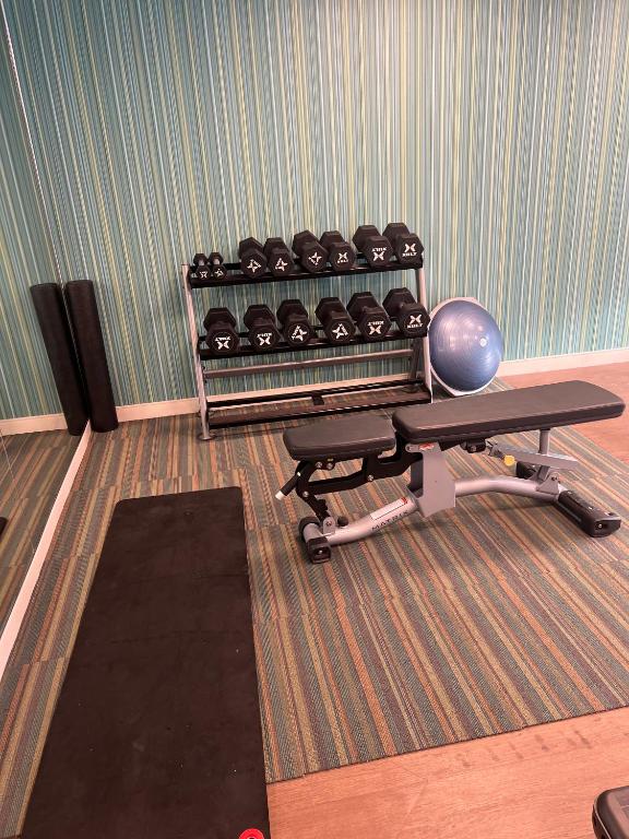 Fitness centrum a/nebo fitness zařízení v ubytování Holiday Inn Express & Suites Mobile - University Area by IHG