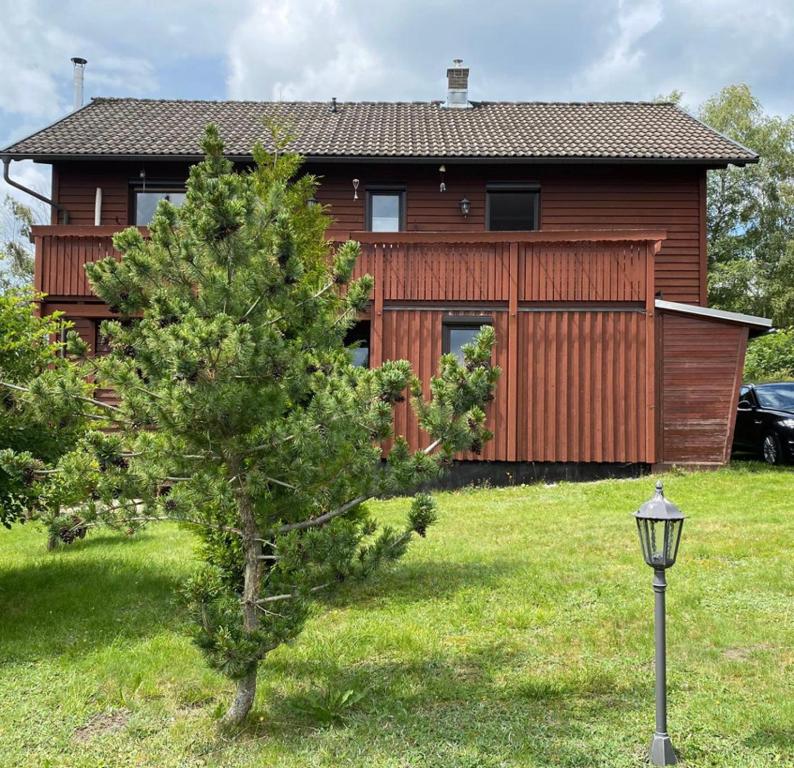 um pinheiro em frente a uma casa em Das Hexenlandhaus em Braunlage