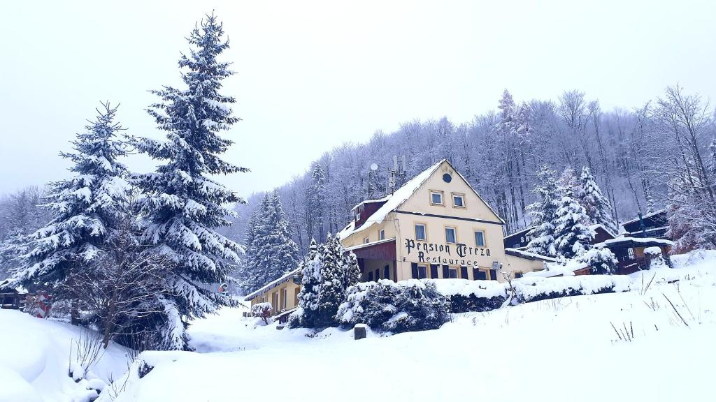 um grande edifício coberto de neve com árvores em frente em Penzion Tereza em Telnice