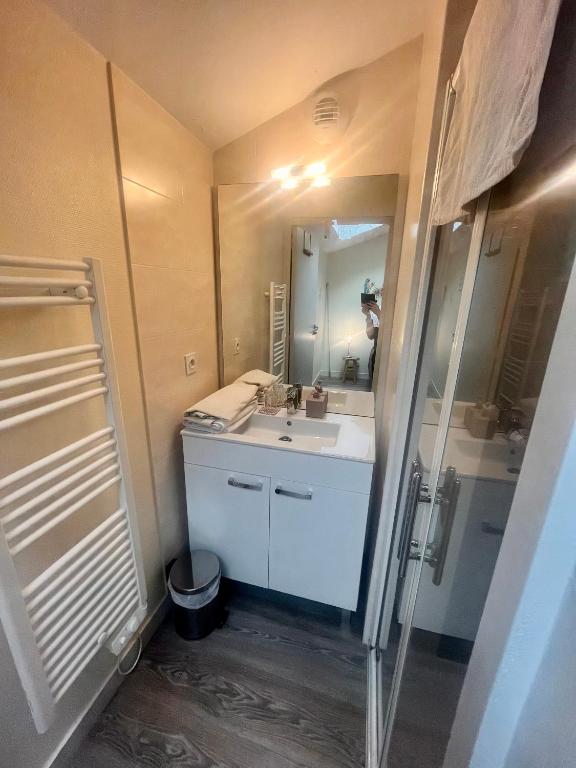 a bathroom with a white sink and a mirror at Le Repaire du p&#39;tit Chartreux by LPNL in Rives