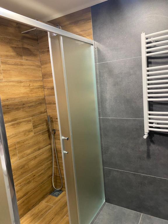 a shower with a glass door in a bathroom at Guest house Shulc in Mizhhirya