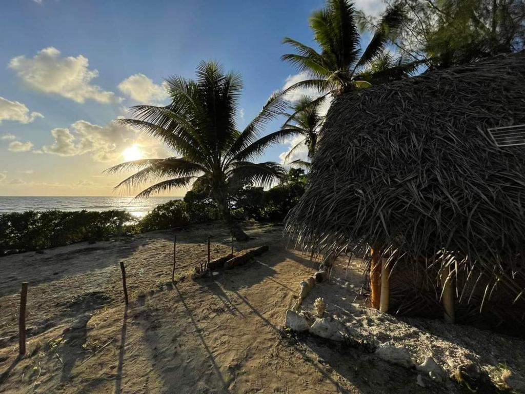 PuahuaにあるMahana Tua Lodge Huahineのヤシの木と小屋のある浜